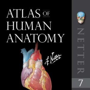 Anatomy Atlas